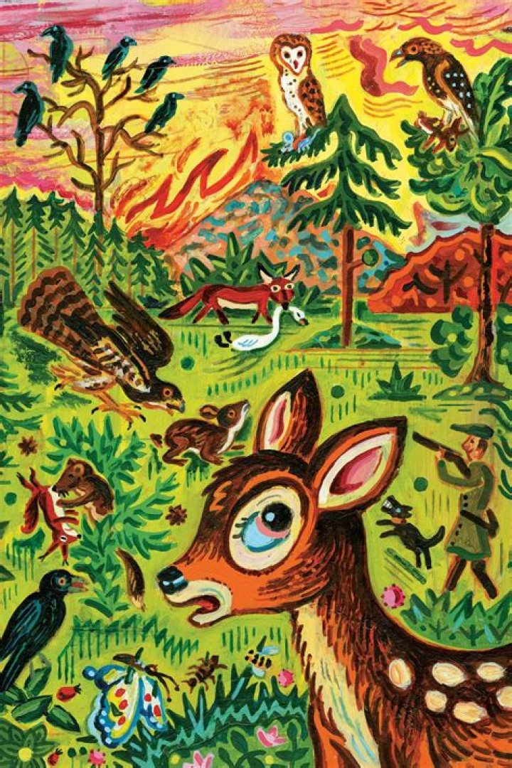 Discovering the Essence of Jackerman Warmth