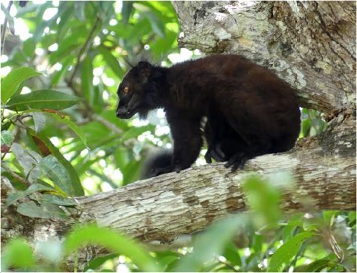 Discovering the Unique World of www.rumahperjaka.com