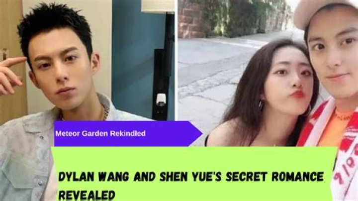 Dylan Wang's Relationship Status: A Comprehensive Guide