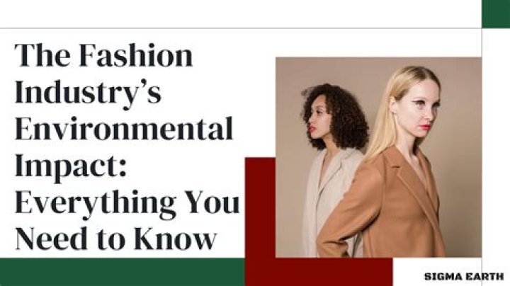 Exploring Quynh Anh Hoover's Impact on the Fashion Industry