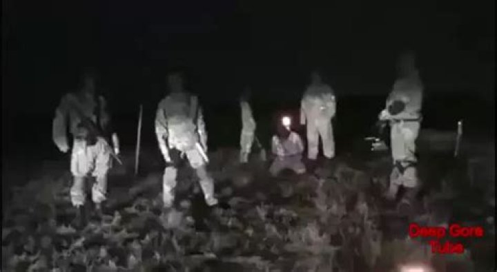 Exploring the Dark World of Gore Videos