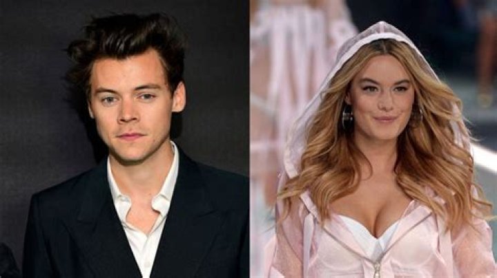 Exploring the Enigmatic Connection Between Harry Styles and Camille Rowe