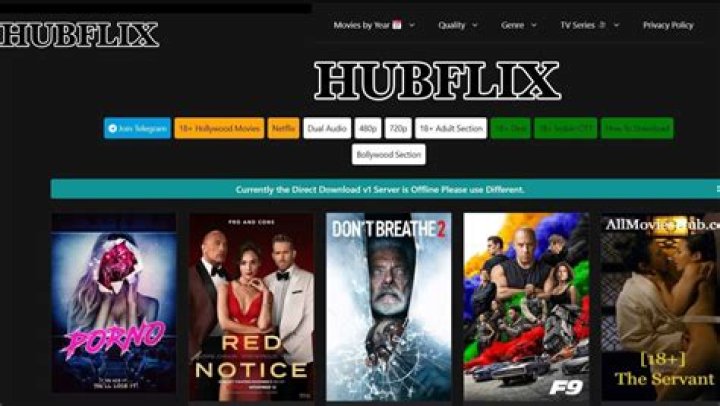 Exploring the World of Hubflix: Your Ultimate Streaming Destination