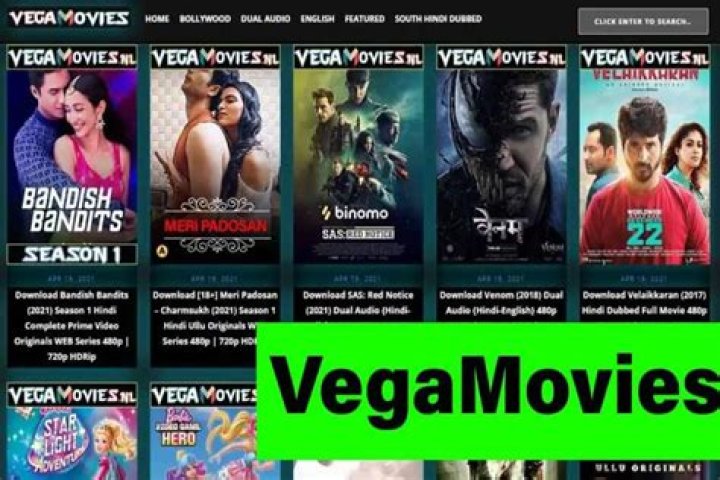 The Ultimate Source for Vegan Movies: Vegamovies.nl