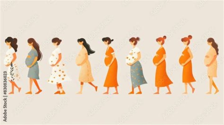 Theminxxclub Pregnant: A Journey of Motherhood and Community