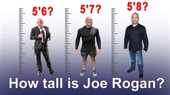 Uncover the Unveiled Truth: Joe Rogan's Towering Stature