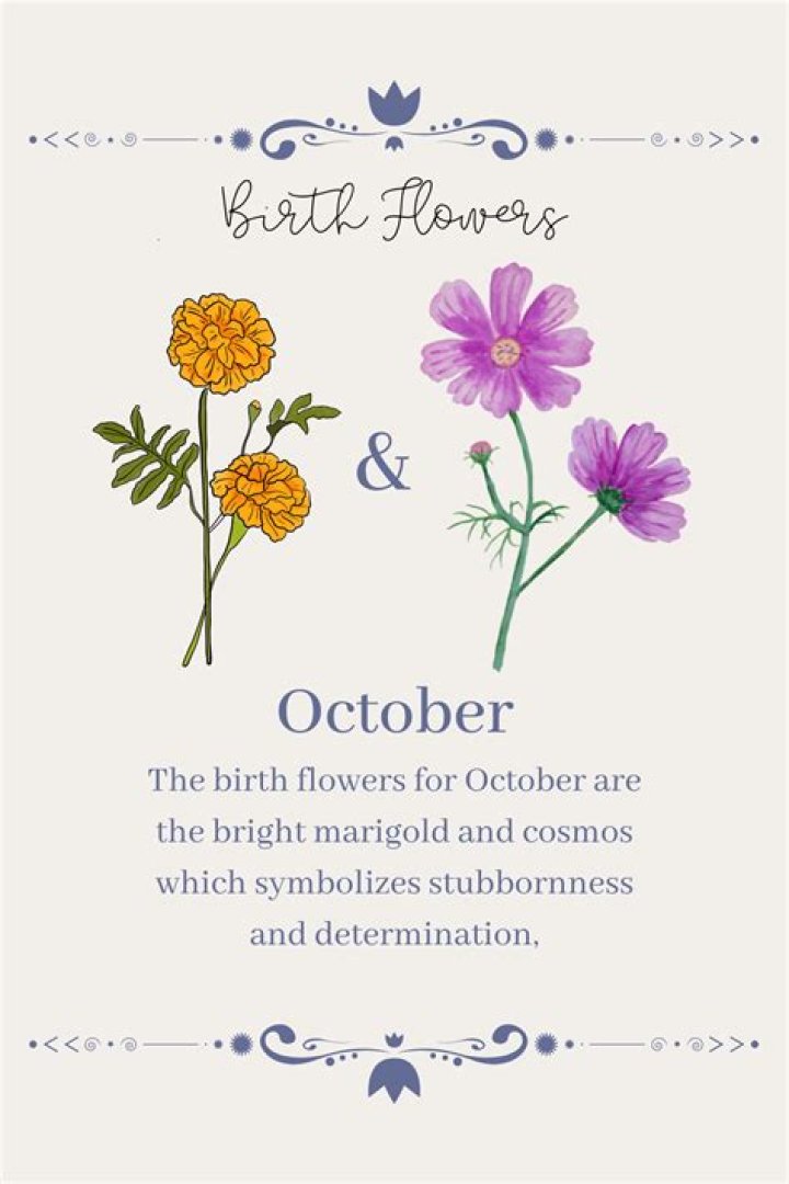 Unlocking the Mystique of the 27 Oct Birthday Personality