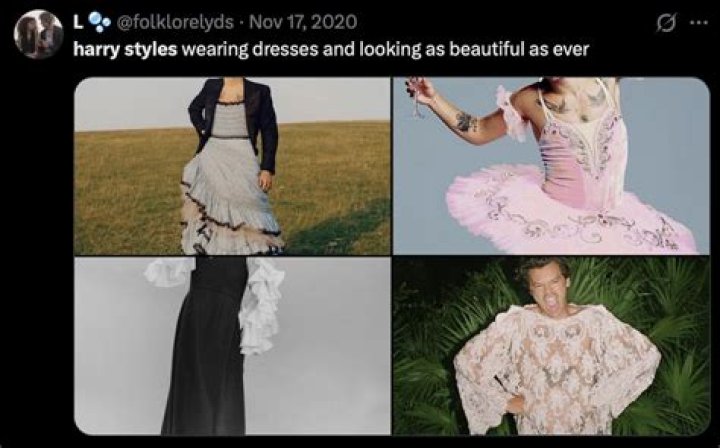 Unpacking the Mystery: Is Harry Styles Gay?