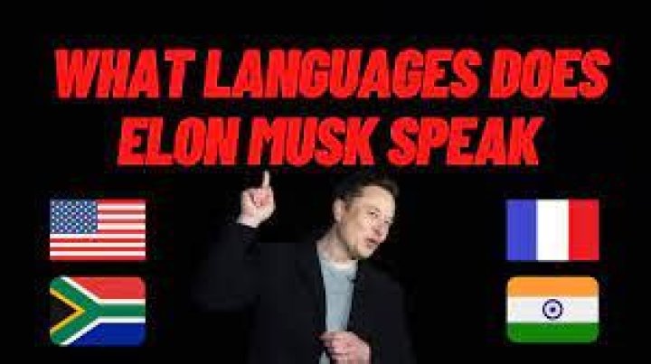 Unraveling the Linguistic Skills of Elon Musk