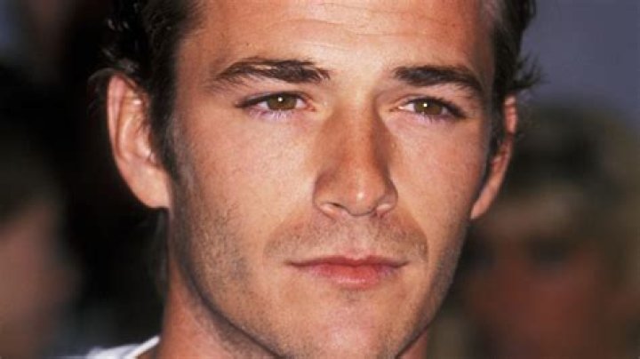 Unraveling the Personal Life of Luke Perry: Who Was He Married To?