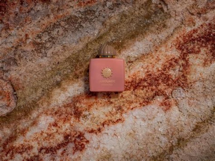 Unraveling the Wealth of Ben Abbott: A Deep Dive into His Net Worth