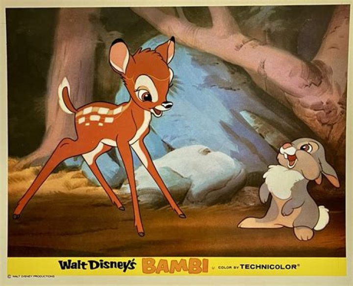 Unveiling the Life and Journey of Bambi Cummins