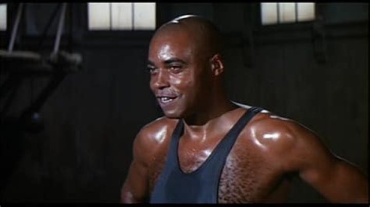 Unveiling the Life and Legacy of Joel Fluellen