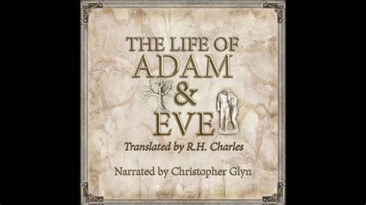Unveiling the Life of Adam Biles: Simone Biles' Supportive Brother
