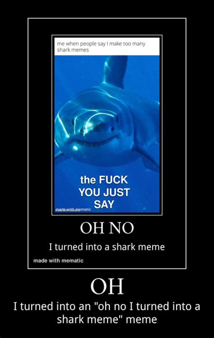 Unveiling the Mystery: The Shark Bae Leaked Controversy