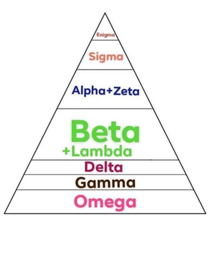 Unveiling the Zodiac's Power Rankings: From Alpha to Omega